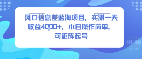 风口信息差蓝海项目，实测一天收益4k+，小白操作简单，可矩阵起号-自媒小站网创副业站