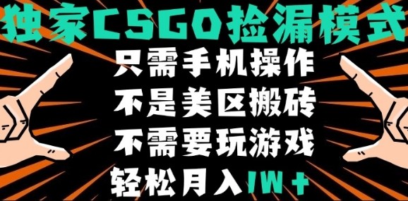 CSGO自动捡漏项目，最新独家玩法，不是美区搬砖，不需要了解和玩游戏，新手小白轻松月入1W+【揭秘】-自媒小站网创副业站
