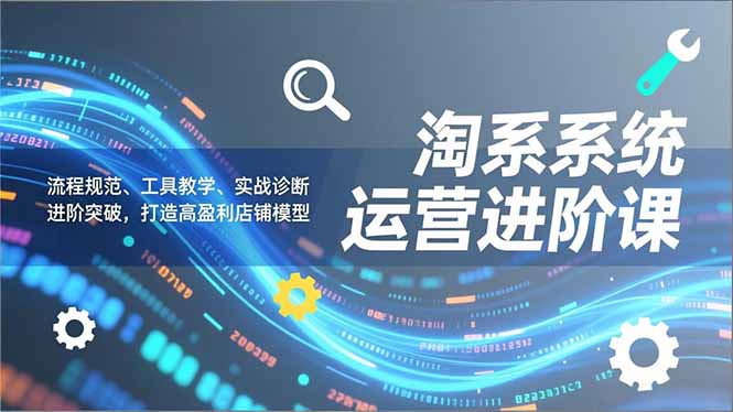 淘系系统运营进阶课2.0，流程规范、工具教学、实战诊断，进阶突破，打造高盈利店铺模型-自媒小站网创副业站