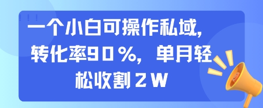 一个小白可操作私域，转化率90%，单月轻松收割2W-自媒小站网创副业站