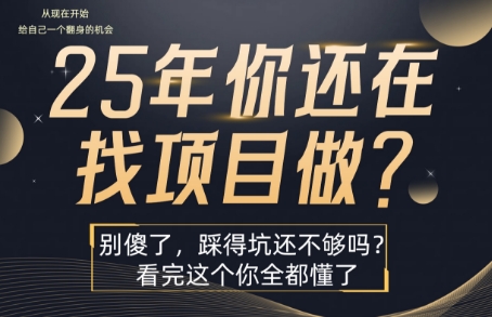 25年，你还在疯狂的找项目吗？别傻了，看完这个你都懂了【揭秘】-自媒小站网创副业站