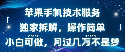 苹果手机技术服务，独家拆解，操作简单，小白可做，月过1W不是梦-自媒小站网创副业站