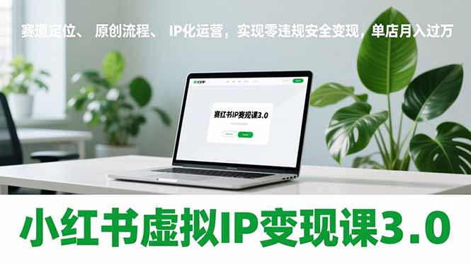 小红书虚拟IP变现课3.0，赛道定位、原创流程、IP化运营，实现零违规安全变现，单店月入过万-自媒小站网创副业站