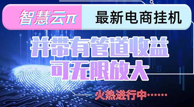 智慧云π电脑挂机单机每天收益300—500+ 并带有团队管道收益 可无限放大-自媒小站网创副业站