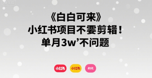 小白可来 小红书项目不需要剪辑 单月3w不是问题-自媒小站网创副业站