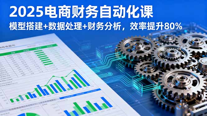 2025电商财务自动化课，模型搭建+数据处理+财务分析，效率提升80%-自媒小站网创副业站