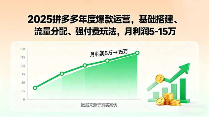 2025拼多多年度爆款运营，基础搭建、流量分配、强付费玩法，月利润5-15万-自媒小站网创副业站