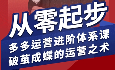 拼多多运营进阶系统课，从零起步，多多运营进阶体系课，破茧成蝶的运营之术(更新9月)-自媒小站网创副业站