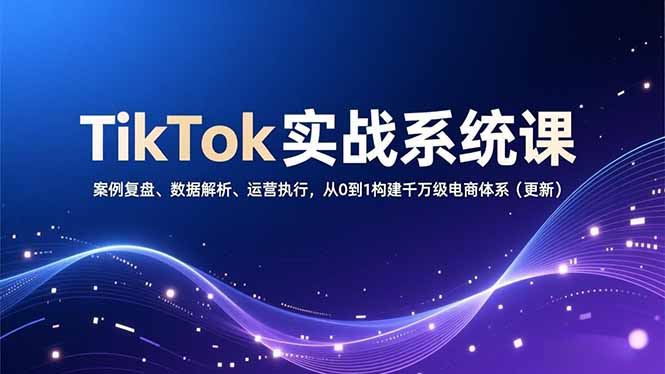TikTok实战系统课，案例复盘、数据解析、运营执行，从0到1构建千万级电商体系(更新-自媒小站网创副业站
