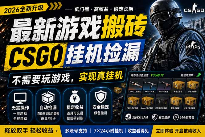 最新游戏搬砖，CSGO纯挂机，不需要玩游戏，实现真挂机，月入1W+，五一小高峰上车可吃肉，…-自媒小站网创副业站