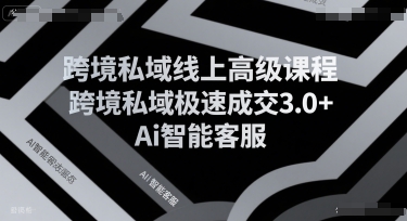 跨境私域线上高级课程，跨境私域极速成交3.0+Ai智能客服-自媒小站网创副业站