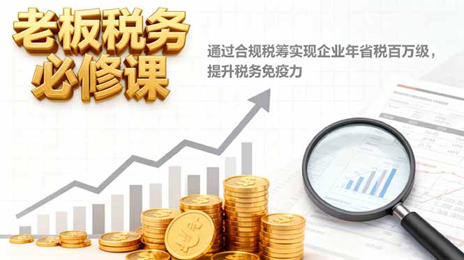 老板税务必修课，通过合规税筹实现企业年省税百万级，提升税务免疫力-自媒小站网创副业站
