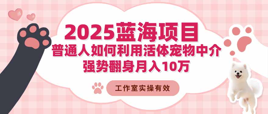 2025蓝海项目：普通人如何利用活体宠物中介，强势翻身月入10万-自媒小站网创副业站