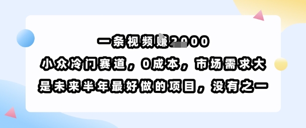 一条视频挣1k，小众冷门赛道，0成本，市场需求大，是未来半年最好做的项目，没有之一-自媒小站网创副业站
