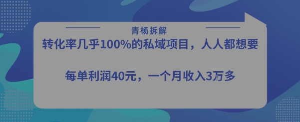 转化率最高的私域项目，每单利润40-50米，月入过1w-自媒小站网创副业站
