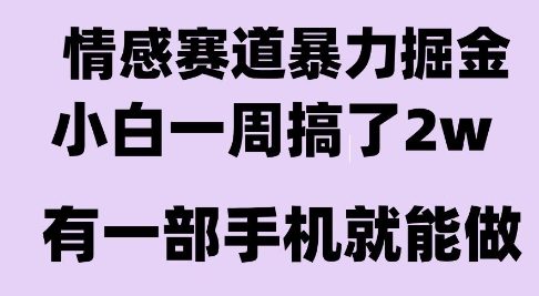 情感暴力掘金项目，新人操作一周挣了2W，长期稳定小白可做【揭秘】-自媒小站网创副业站