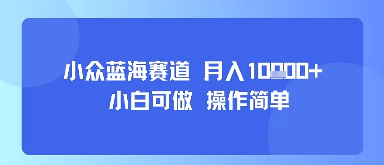 小众蓝海赛道，小白可做，操作简单，每天30分钟，月入1W+-自媒小站网创副业站