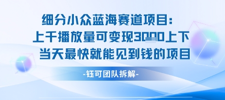 小众蓝海赛道项目：当天变现1k+适合新手操作 +适合长期玩-自媒小站网创副业站