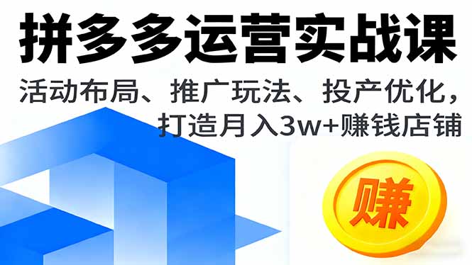 拼多多运营实战课，活动布局、推广玩法、投产优化，打造月入3w+赚钱店铺-自媒小站网创副业站