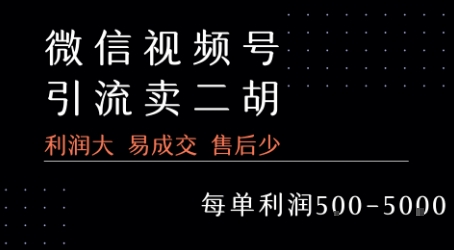 视频号卖二胡教程，利润大 易成交 售后少，一单利润5张+-自媒小站网创副业站