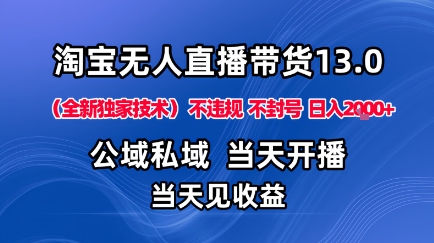 淘宝无人直播13.0，公域私域技术，不封号，不违规布局下半年旺季赛道，日入1K+(独家技术)【揭秘】-自媒小站网创副业站