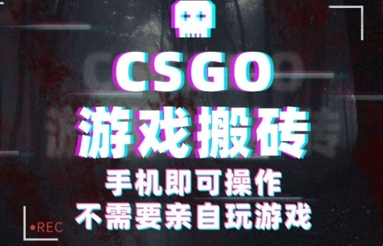 CSGO游戏挂G捡漏，单日扫货5张+，年底小高峰上车可吃肉，手机即可操作，兼职副业创业网创【揭秘】-自媒小站网创副业站