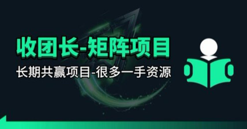 【团长合作】视频矩阵项目_招发手矩阵+剪辑师，共赢项目【揭秘】-自媒小站网创副业站