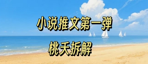 小说推文项目操作全流程第一弹，0粉就能做，门槛低非常适合新手-自媒小站网创副业站