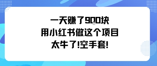 一天挣了9张用小红书做这个项目太牛了，空手套-自媒小站网创副业站