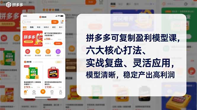 拼多多可复制盈利模型课，六大核心打法、实战复盘、灵活应用，模型清晰，稳定产出高利润-自媒小站网创副业站