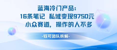 蓝海项目：16条笔记私域变现9750米小众赛道操作的人不多-自媒小站网创副业站