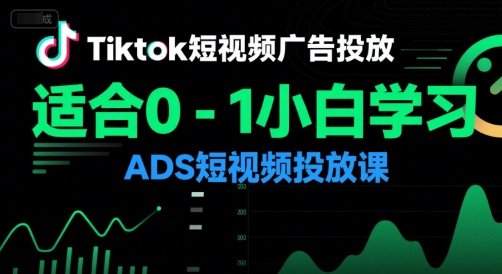 Tiktok短视频广告投放，适合0-1小白学习ADS短视频投放课-自媒小站网创副业站