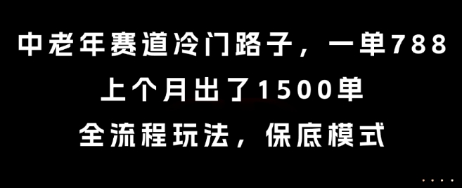 中老年赛道冷门路子，一单788，上个月出了1500单，全流程玩法，保底模式【揭秘】-自媒小站网创副业站