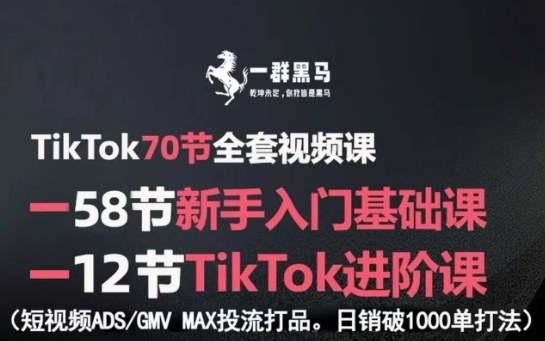TikTok全套视频课，新手入门+进阶课，短视频ADS-GMV MAX投流打品，日销破1000单打法-自媒小站网创副业站