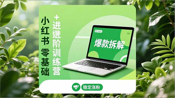 小红书零基础+高阶训练营：安全养号、爆款拆解、长效运营，实现稳定涨粉与变现-自媒小站网创副业站