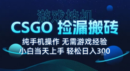 8月最新游戏搬砖，CSGO纯挂G，不需要玩游戏，实现真挂G，月入1W+【揭秘】-自媒小站网创副业站