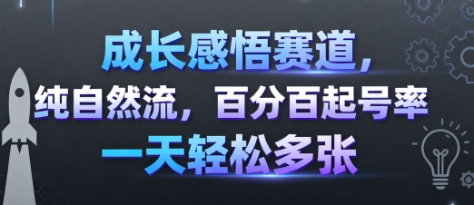 成长感悟赛道，纯自然流，百分百起号率 一天轻松多张-自媒小站网创副业站