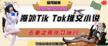 海外tiktok小说推文暴力项目，高停留率，高转化率，上手后一天搞顿饭钱不是问题-自媒小站网创副业站