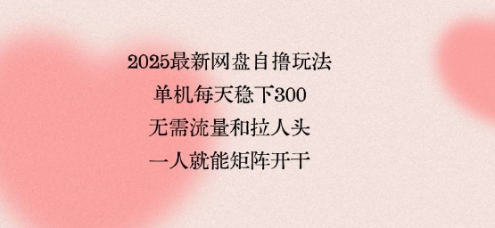 2025最新网盘自撸玩法，单机每天稳下3张，无需流量和拉人头，一个人就可轻松矩阵，全网独一份【揭秘】-自媒小站网创副业站