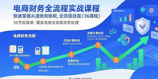 电商财务全流程实战课程：快速掌握从建账到报税的全流程技能(36节课-自媒小站网创副业站