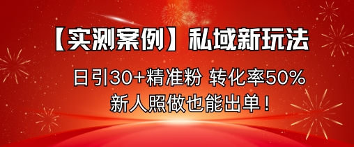 【实测案例】私域新玩法，日引30+精准粉，转化率50%，新人照做也能出单！-自媒小站网创副业站