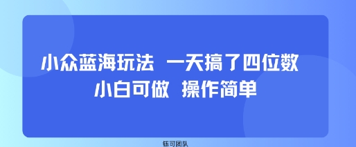 小众蓝海玩法 一天搞了四位数 小白可做 操作简单-自媒小站网创副业站