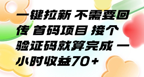 一键拉新 不需要回传 首码项目 接个验证码就算完成 一小时收益70+【揭秘】-自媒小站网创副业站
