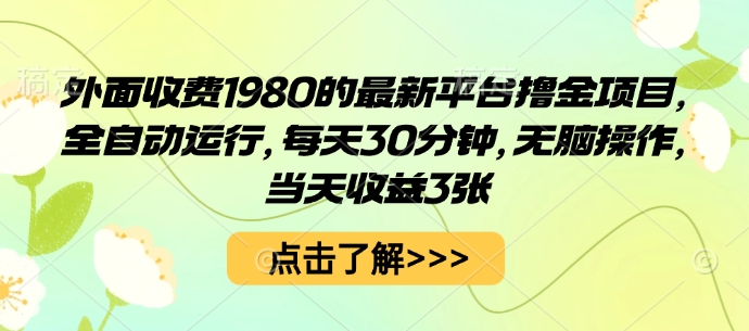 外面收费1980的最新平台撸金项目，全自动运行，每天30分钟，无脑操作，当天收益3张【揭秘】-自媒小站网创副业站